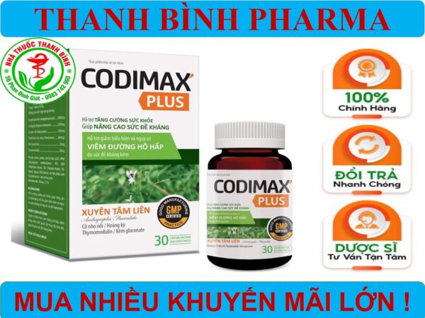 codimax-1