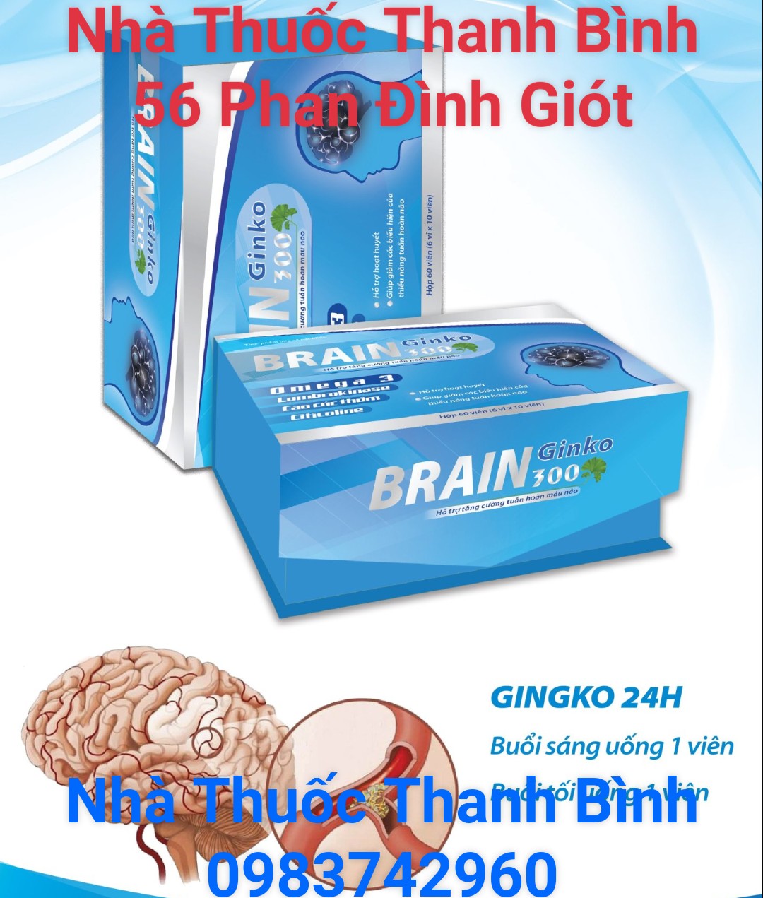 brain-ginko-300-4
