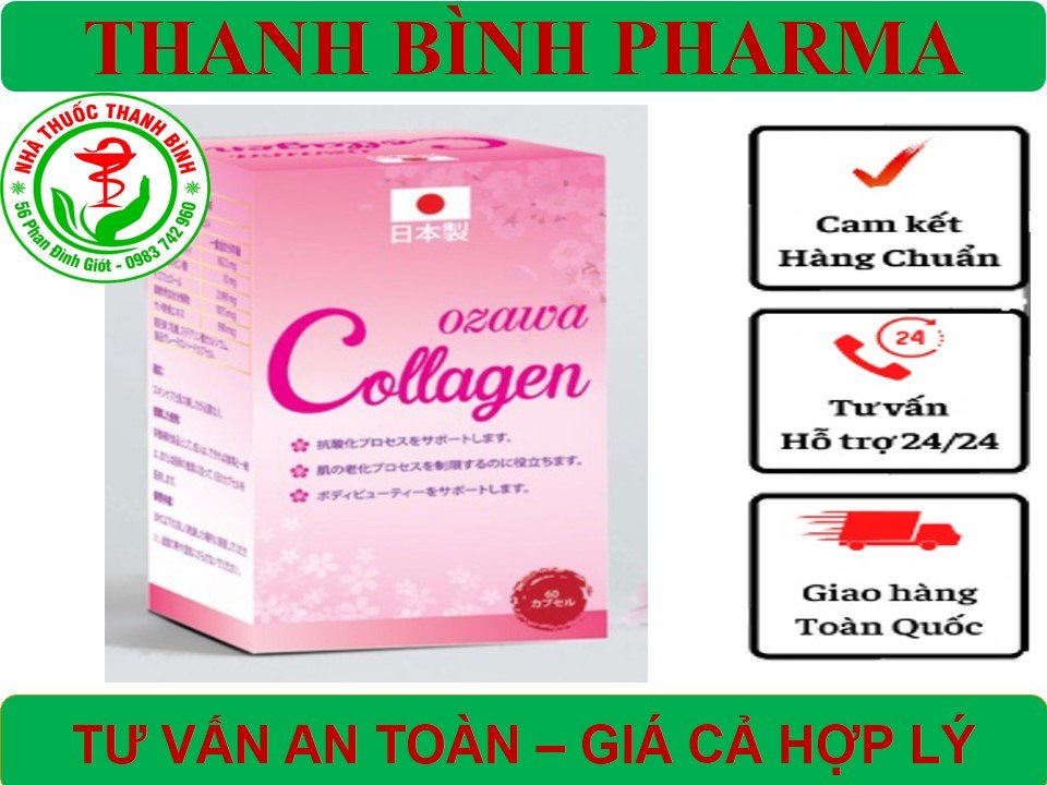 ozawa-collagen-1